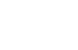 IDology logo